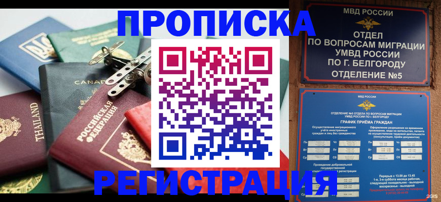 временная регистрация недорого в Котово